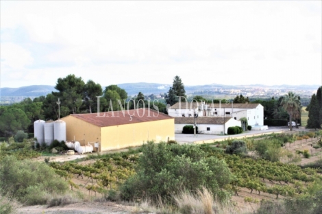 Alt Penedès. Viñedos, masía y bodega en venta para elaboración de vinos y cava.