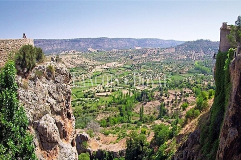 Albacete. Complejo rural y finca en venta. Sierra del Segura.