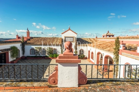 Sevilla. Fotógrafo especializado en inmobiliaria, fincas y propiedades singulares. 