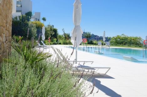 Jardineria y paisajismo en la Costa del Sol.