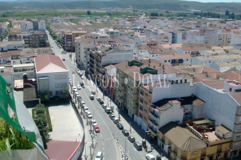 Torre Andújar. Oficina y vivienda en venta. Excelente inversión.