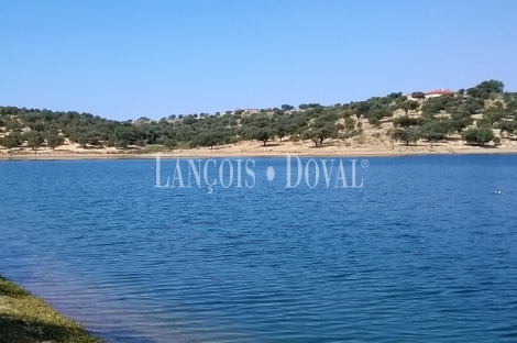 Badajoz. Dehesa ganadera en venta a orillas del embalse de Orellana.