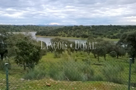 Badajoz. Dehesa ganadera en venta a orillas del embalse de Orellana.