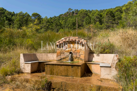 Jaén. Cortijo, coto de caza y finca forestal en venta. Sierra de Segura