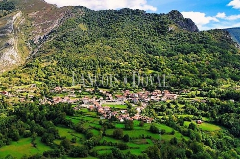 Picos de Europa. Hotel rural en venta. Nacimiento río Sella. León