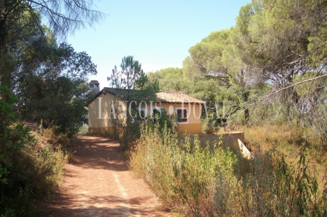 Finca en venta o alquiler para proyecto glamping y bungalows en Huelva.