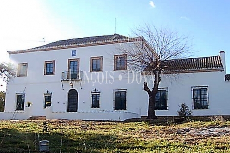 Huelva. Finca forestal y ganadera con cortijo en venta de 536 Has