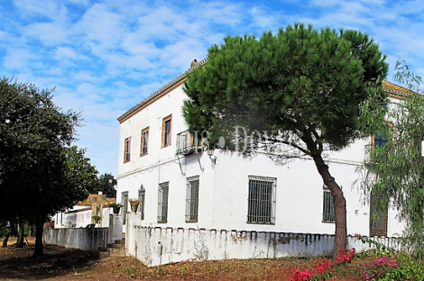 Huelva. Finca forestal y ganadera con cortijo en venta de 536 Has