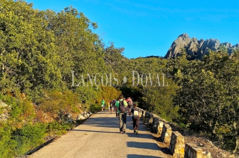 Cáceres. Albergue y campamento rural en venta. Las Villuercas