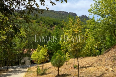 Cáceres. Albergue y campamento rural en venta. Las Villuercas