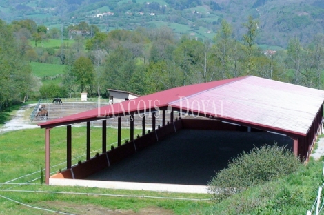 Cantabria. Finca ecuestre en venta. Santibáñez. Villacarriedo.