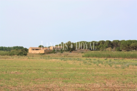 Bellcaire D´ Empordà. Finca agrícola y masía a rehabilitar en venta. Ideal uso turístico.