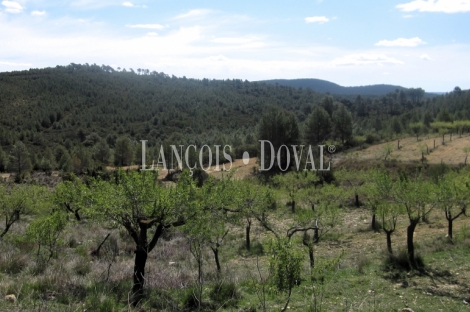 Casa de Labranza y finca en venta. Comunidad Valenciana. Comarca de La Costera.