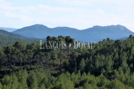 Casa de Labranza y finca en venta. Comunidad Valenciana. Comarca de La Costera.