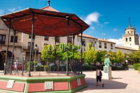 Arévalo. Ávila. Singular casa rural para grupos en venta. Centro histórico.