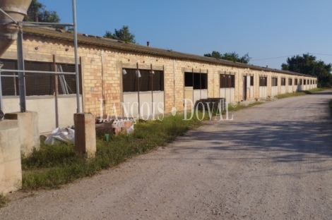 Camarles. Delta del Ebro. Finca en venta para proyecto turístico rural.