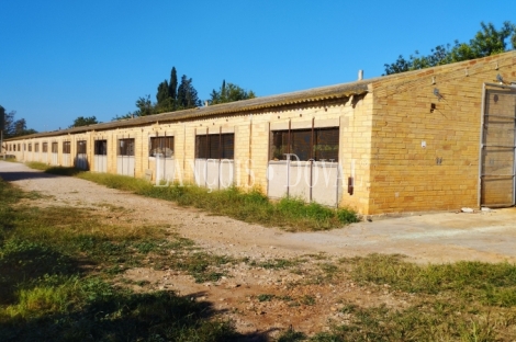 Camarles. Delta del Ebro. Finca en venta para proyecto turístico rural.