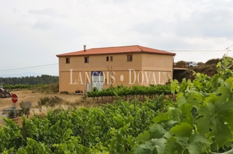 Priorat. Bodega y viñedo ecológicos en venta. Falset