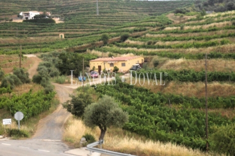 Priorat. Bodega y viñedo ecológicos en venta. Falset