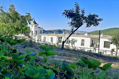 Granada. La Alpujarra. Hotel en venta parque natural Sierra Nevada