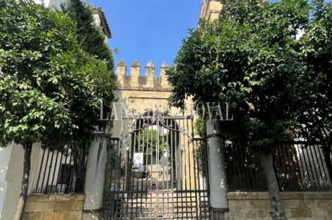 Córdoba. Un histórico palacio en venta.