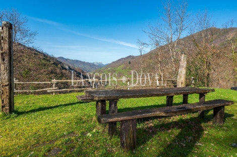 Asturias. Casa rural en venta. Concejo de Aller.