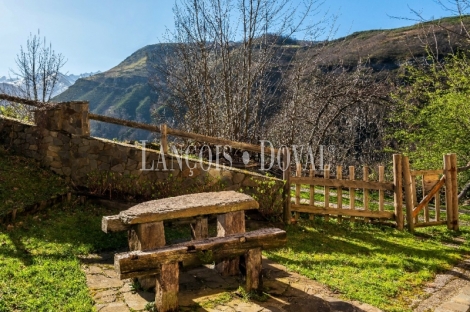 Asturias. Casa rural en venta. Concejo de Aller.