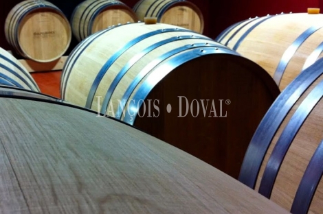 Granada. Bodega y viñedos en venta. La Alpujarra.