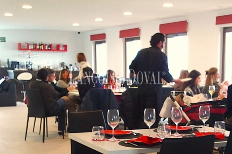 Granada. Bodega y viñedos en venta. La Alpujarra.