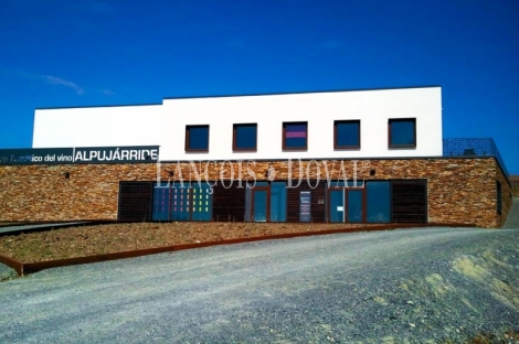 Granada. Bodega y viñedos en venta. La Alpujarra.
