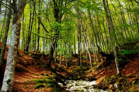 Campoo.  Los Valles. Complejo turístico rural en venta en Cantabria por jubilación