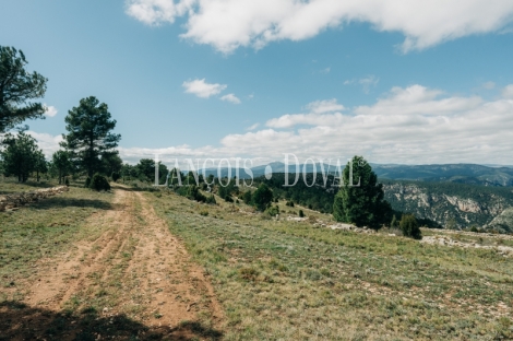 Castellón. Culla. Finca con proyecto turístico en venta. 