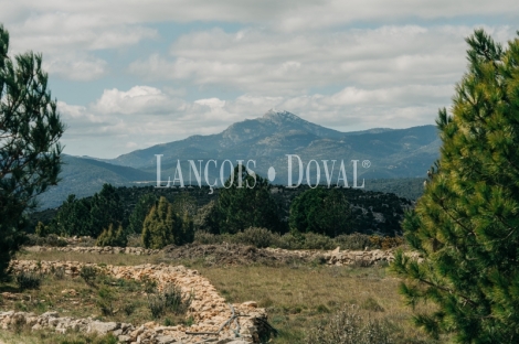 Castellón. Culla. Finca con proyecto turístico en venta. 
