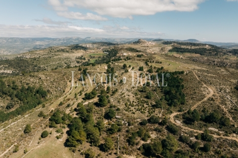 Castellón. Culla. Finca con proyecto turístico en venta. 