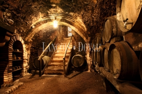 Bodega histórica y viñedos en venta en DO Campo de Borja, Aragón