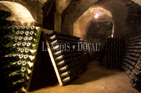 Bodega histórica y viñedos en venta en DO Campo de Borja, Aragón