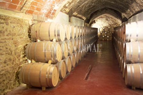 Bodega histórica y viñedos en venta en DO Campo de Borja, Aragón