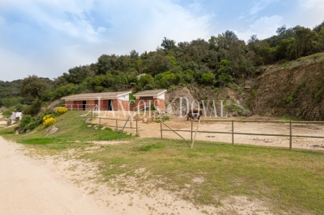 Barcelona. Centro hípico y escuela de equitación en venta. Sant Andreu de Llavaneres.