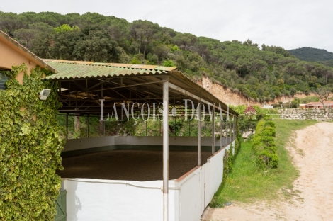 Barcelona. Centro hípico y escuela de equitación en venta. Sant Andreu de Llavaneres.