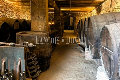 D.O Penedès. Antigua Masía y bodega en alquiler ideal enoturismo en el Alt Camp.