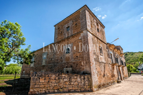 León. Babia. Casa Palacio en alquiler o gestión para proyectos culturales. 