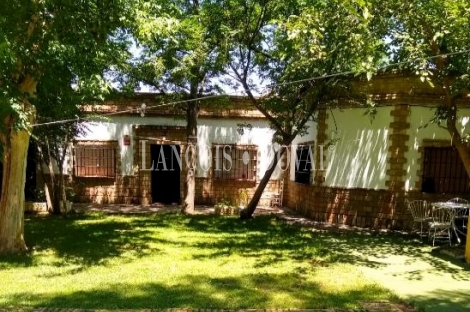 Sevilla. Finca en venta. Alojamiento turístico zona San Jerónimo.