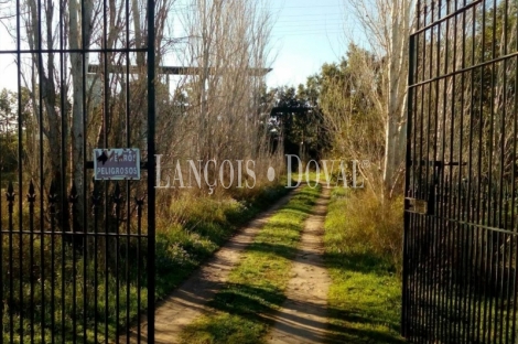 Sevilla. Finca en venta. Alojamiento turístico zona San Jerónimo.