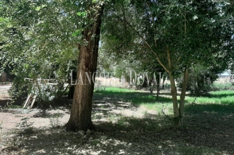 Sevilla. Finca en venta. Alojamiento turístico zona San Jerónimo.