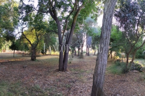 Sevilla. Finca en venta. Alojamiento turístico zona San Jerónimo.
