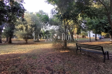 Sevilla. Finca en venta. Alojamiento turístico zona San Jerónimo.