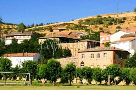 Casa solariega en venta en la Montaña Palentina.