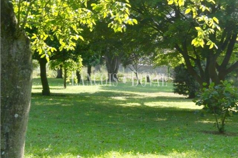 Gijón (Asturias). Finca en venta