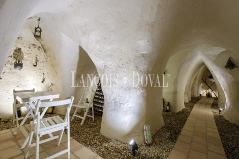 Toledo. Casa rural en venta. Méntrida. Ruta del Vino.