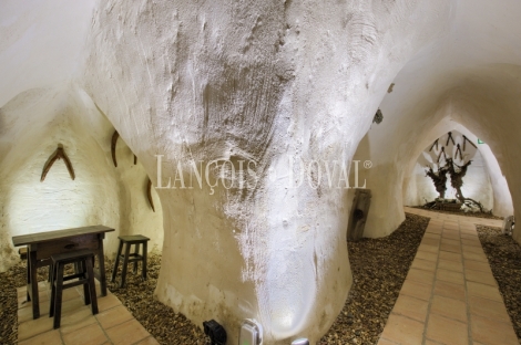 Toledo. Casa rural en venta. Méntrida. Ruta del Vino.